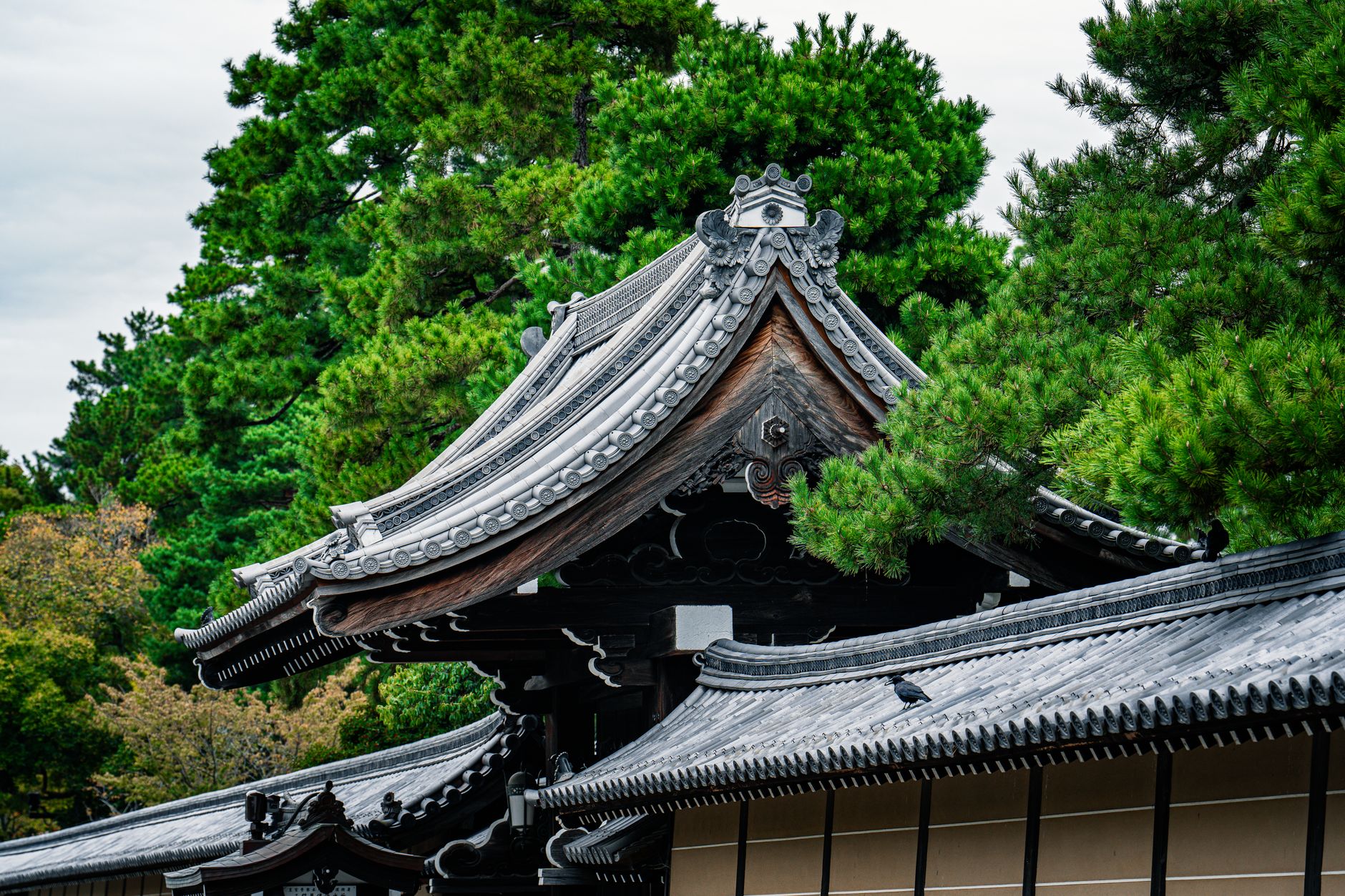 Gastronomic exploration consultation